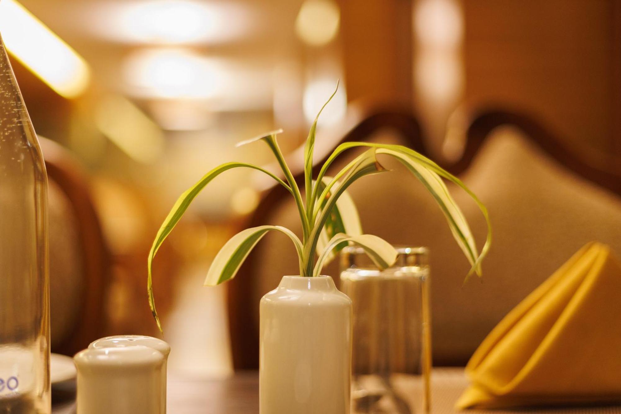 Amber Dale Luxury Hotel & Spa, مونار المظهر الخارجي الصورة